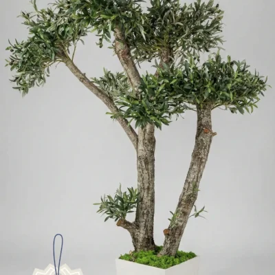 Konstgjord Olivträd i Vitt Kruka